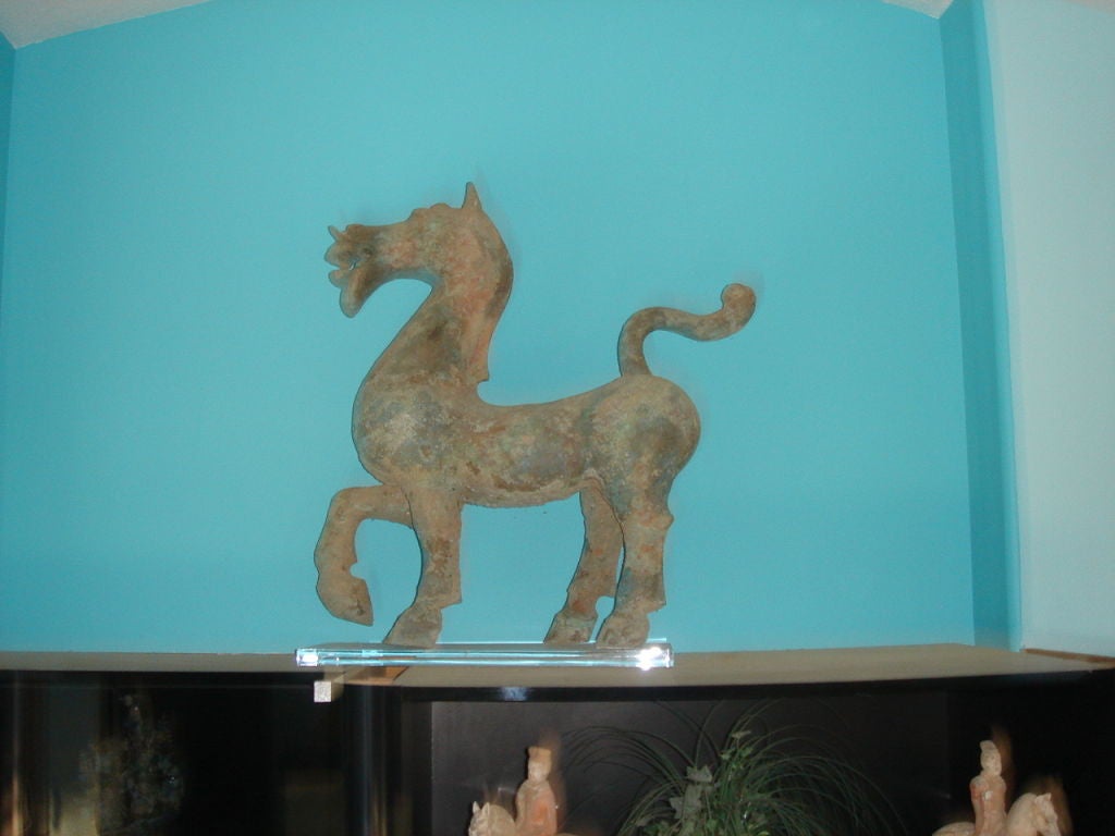 Extremely well modeled Prancing HORSE bronze statue Han Dynasty. The spirited animal crisply modeled with head proudly raised, alert eyes with raised brows set below the pert pointed ears, the dilared nostils flanking the month with lips curled to