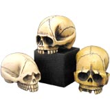 Antique 3 Japanese Netsuke Skulls