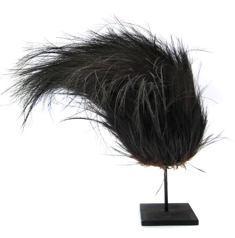 A headhunter feather headdress presented on museum stand