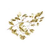 Vintage Leaf wall sculpture attributed to Curtis Jere