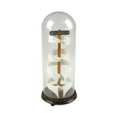 Antique Collar Display