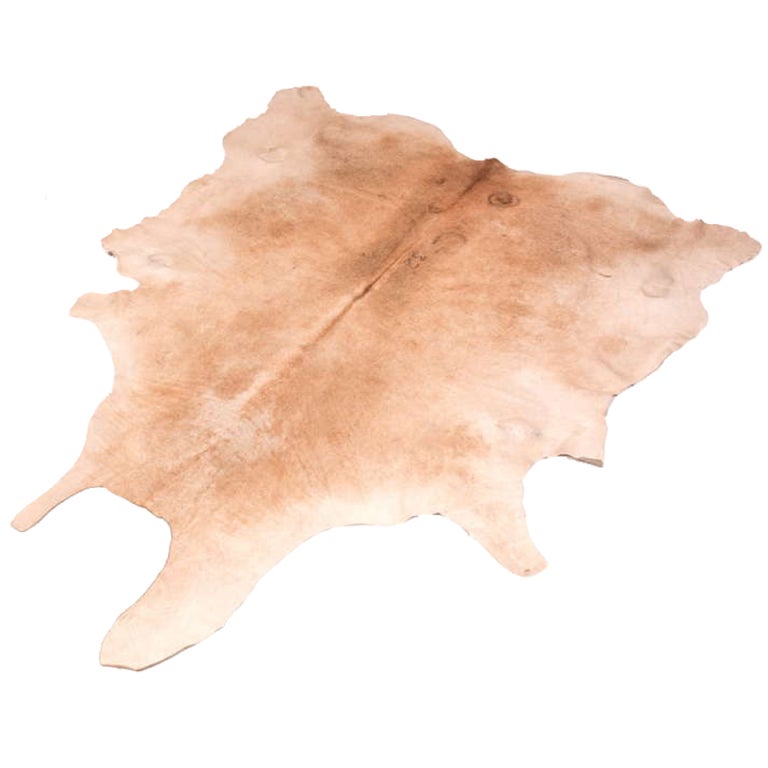 Cowhides from Argentina