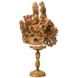 Decorative Sponge on Stand