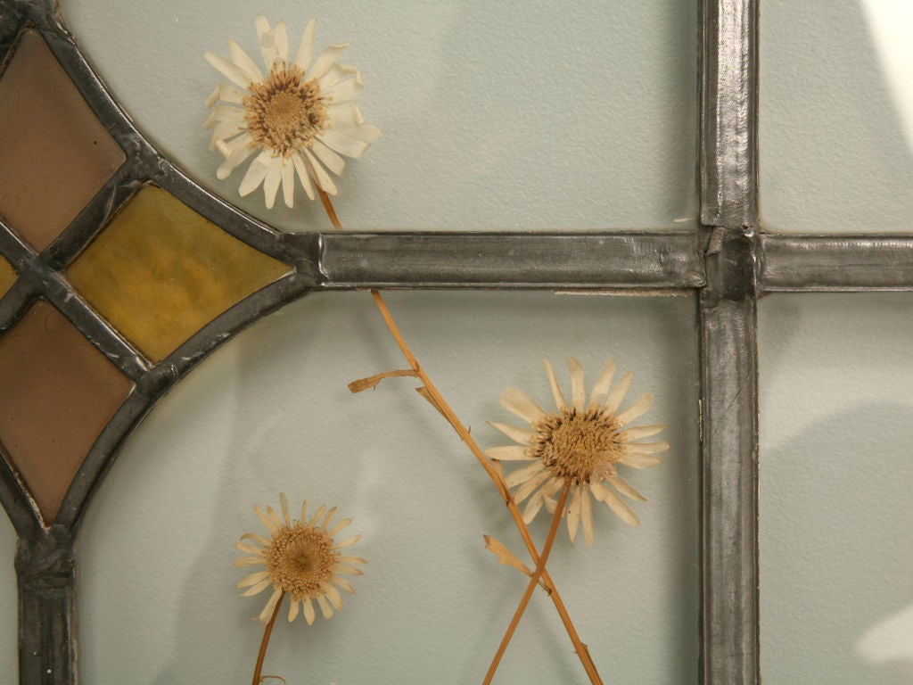 American c.1910 Stained Glass Window w/ Pressed Flowers
