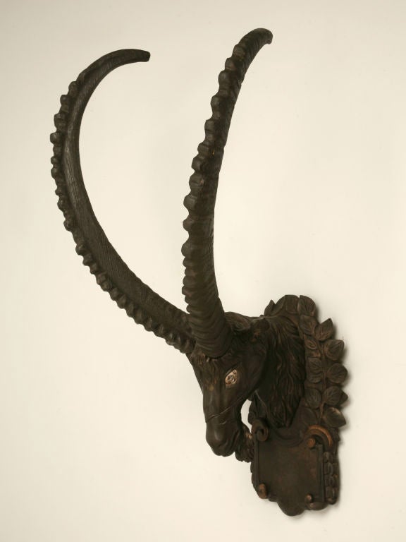 c.1910 Hand-Carved Black Forest Trophy