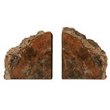 Pair of Natural Petrified Wood Bookends