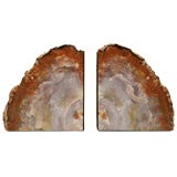 Pair of Natural Petrified Wood Bookends