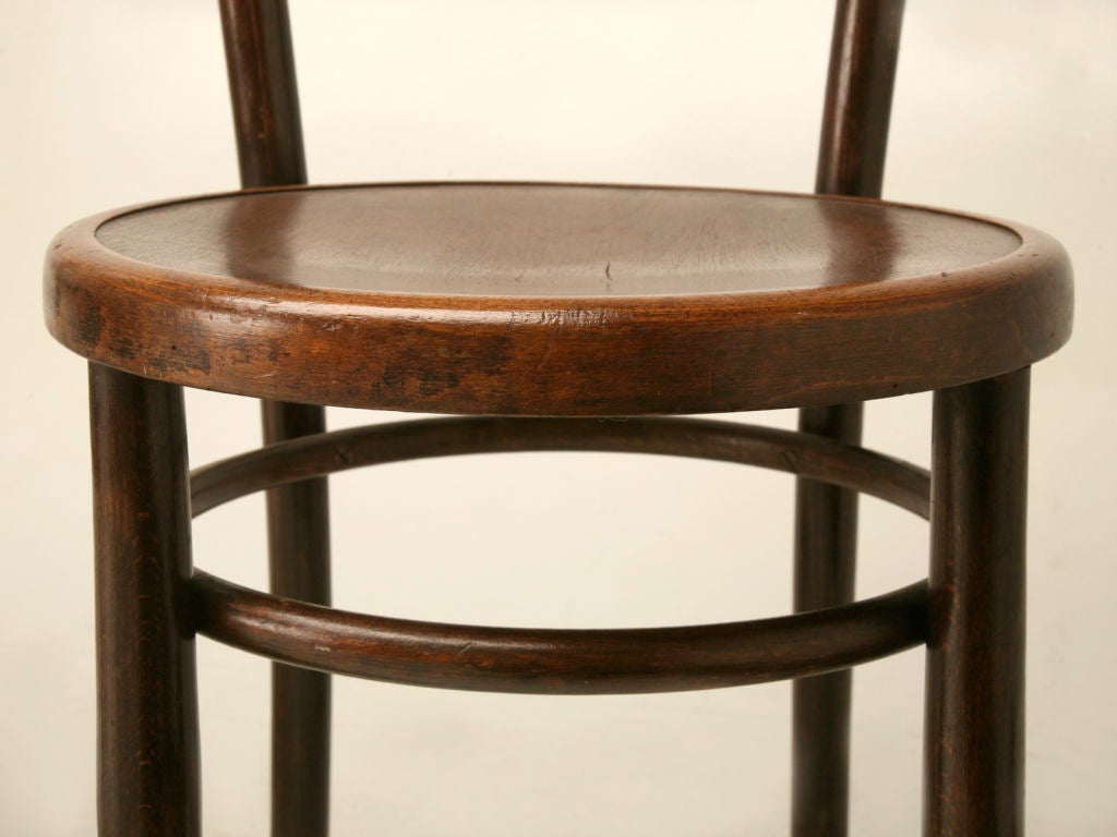 fischel chairs