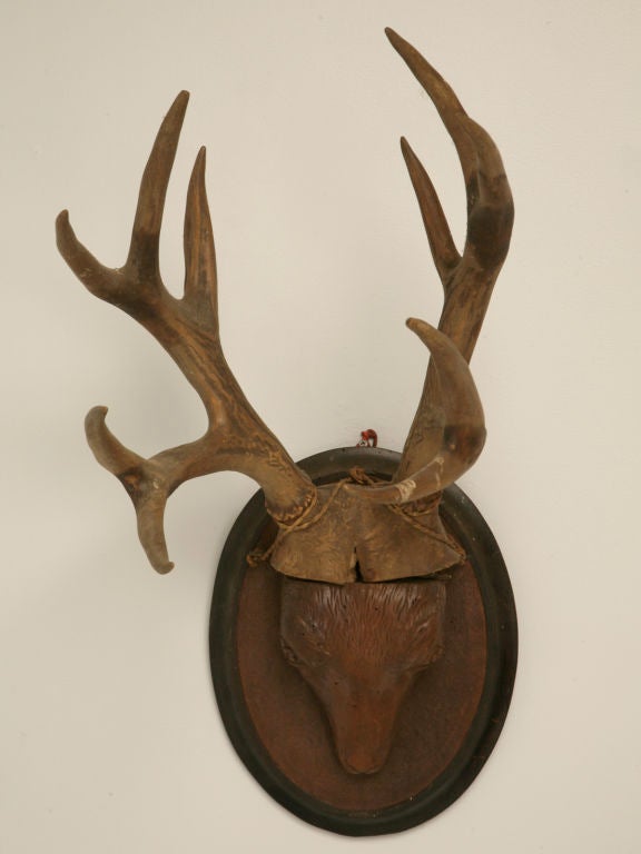 Late 19th Century  French Hunting Trophy