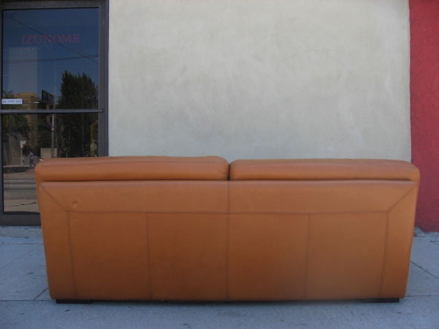 Roche et Bobois Leather Couch 2