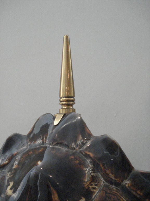 French Large Tortoise Shell Lamp by Maison Jansen.