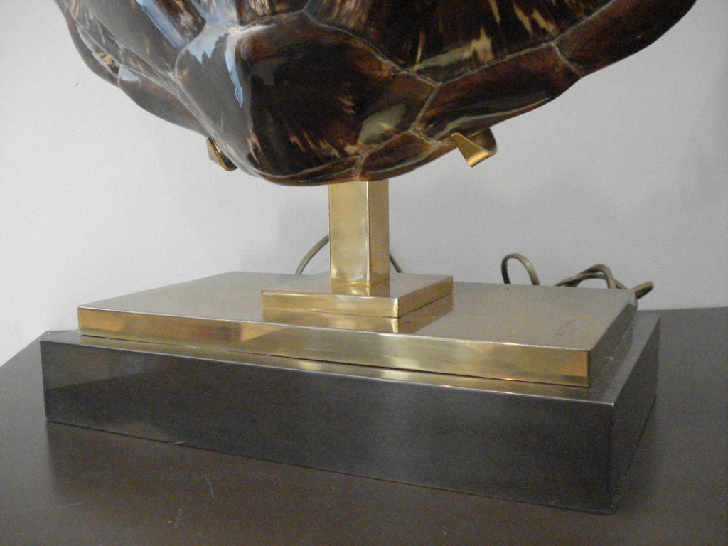 Large Tortoise Shell Lamp by Maison Jansen. In Excellent Condition In Miami, FL