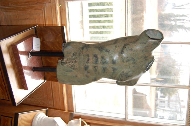 Bronze male torso