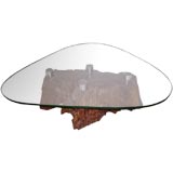 Root and Glass  Smoking Table