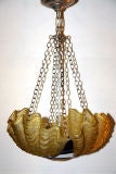 Glass Shell Light Fixture