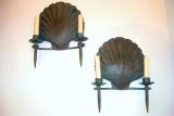 Pair of Shell Shaped Sconces