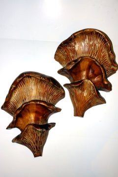 Mushroom Sconces