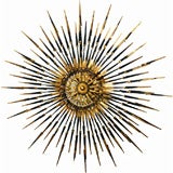 Moderne Sunburst Light Fixture