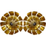 Pair of "Flower" Light Fixtures