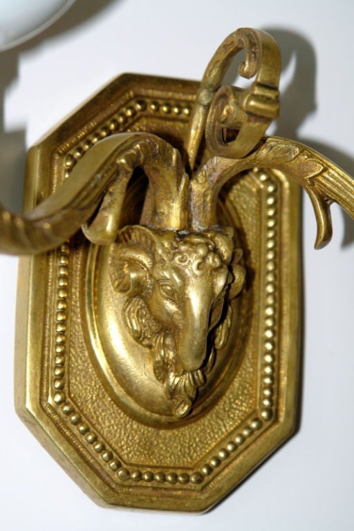 Ram's Head Sconces with Porcelain Cups