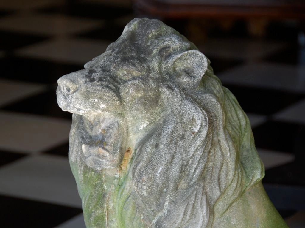 Cast stone lion