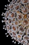 Exceptional crystal sputnik sphere chandelier comprised of over 1500 crystals.
