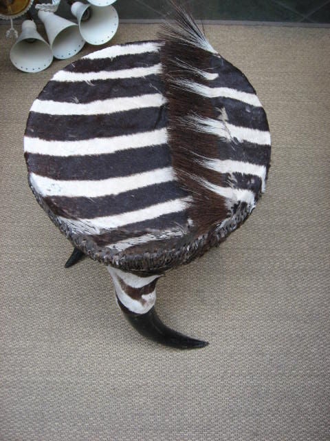 Vintage Zebra Hide Drum Table/  Stool(s) with horn legs