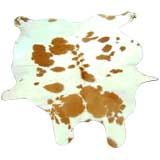 Small Short Hair Cowhide Rug