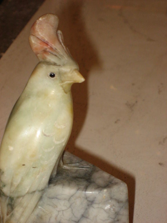 alabaster cockatoo bookends