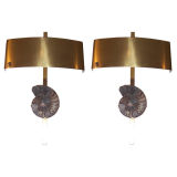 Pair of Ammonite and Brass Wall Sconces