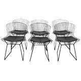 Set of Six Side Chairs by Bertoia for Knoll with Seat Cushions