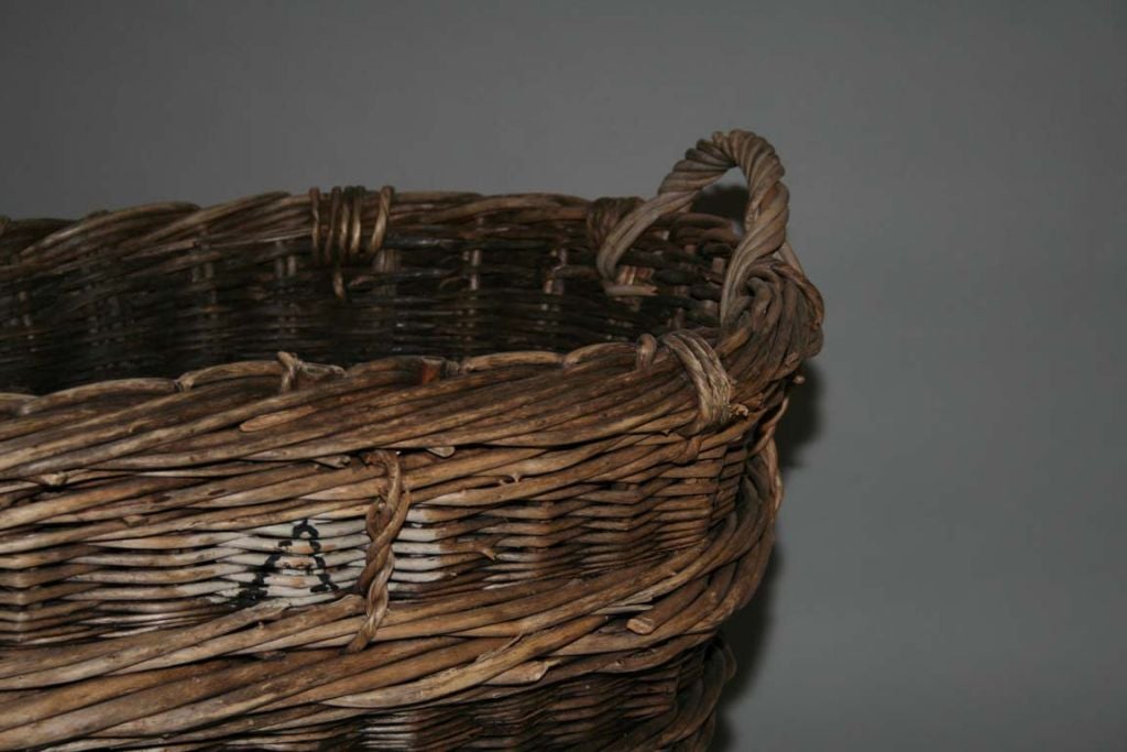 French Champagne Grape Basket