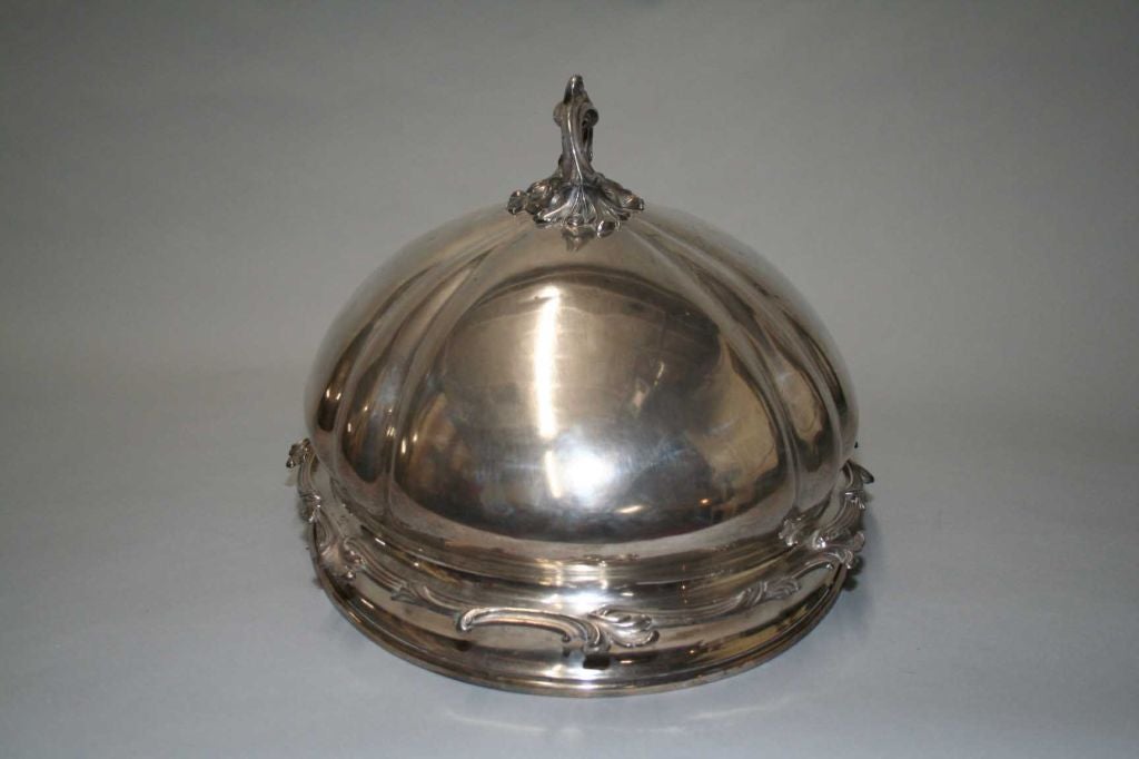 Large Dome Top Food Cover For Sale at 1stdibs