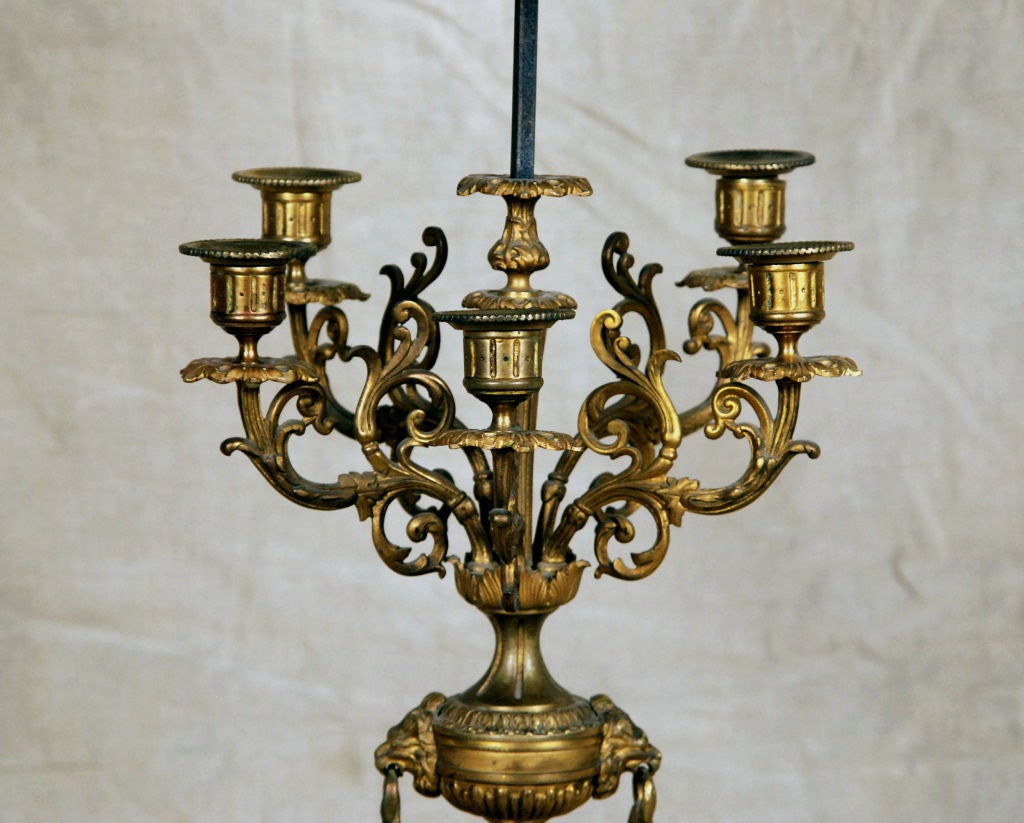 French A Fine Pair of Rococo Gilt Bronze Five Arm Bouillote Lamps For Sale