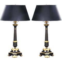 French Pair of Bronze and Ormolu Lamps