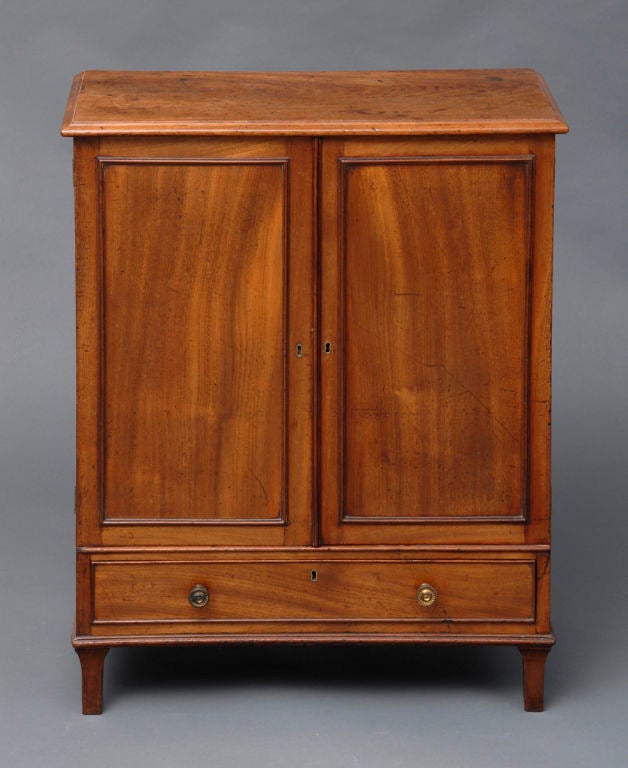 Very unusual Regency mahogany small paneled two-door cabinet above one cock-beaded drawer with original gilded knobs, raised on short tapering legs.  Interior of cabinet with one shelf.
