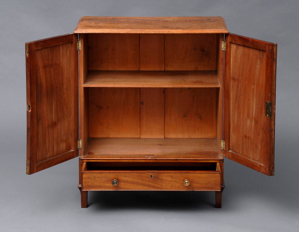 English Small Regency Two Door Cabinet at 1stdibs