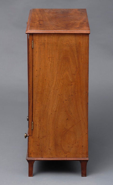 19th Century English Small Regency Two Door Cabinet