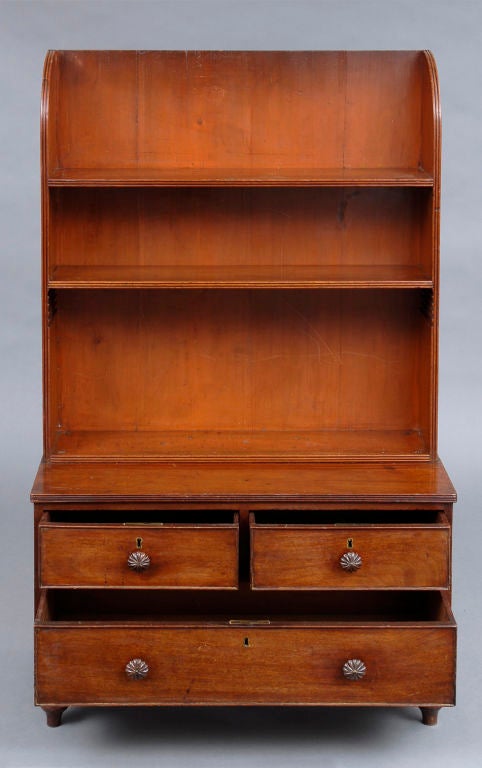 Early 19th Century English Georgian Bookcase For Sale