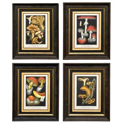 French Set Four Mushroom Chromolithographs