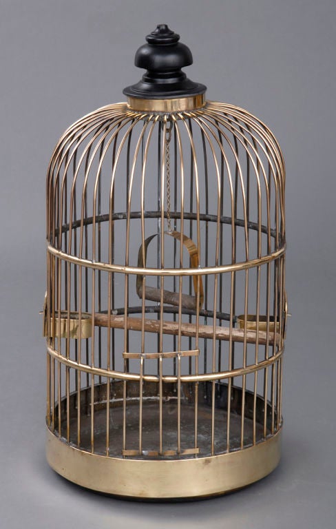 Large brass bird cage with wood and brass swing, long wooden perch, two brass feeders.  Brass door slides upward.