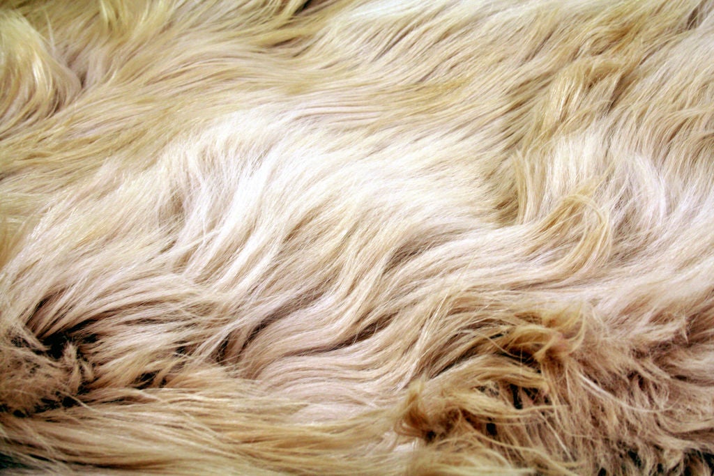American Home114 Kidassia Long Hair Goat Skin Rug For Sale