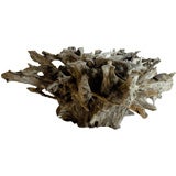 Naturally Weathered Tree Root Table by Charlie Baker