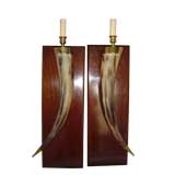 Pair of  Natural Horn Sconces Mounted on Walnut Plaques
