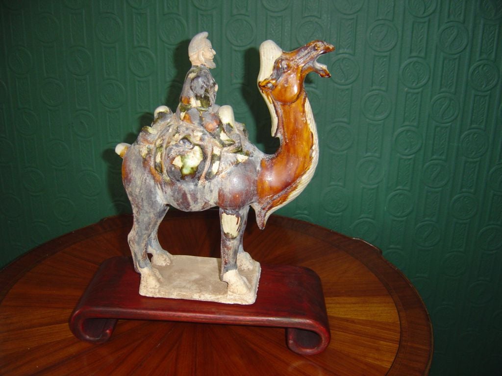 A Tang Style Camel with Rider on Scroll Stand