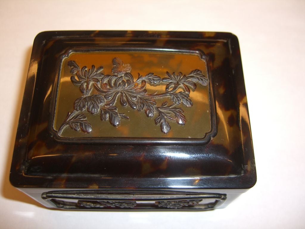 19th century hand carved tortoise shell box