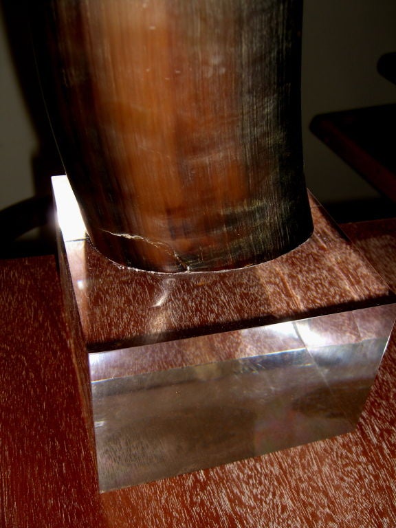 Great pair of large water buffalo horns or tusks on lucite bases