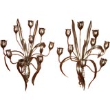 Spectacular pair of large silvered  iron floral sconces