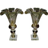 Great pair of Hollywood Regency glass fern lamps