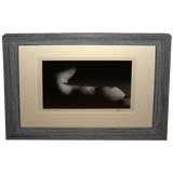 Vintage 1950
s gelatin Silver print of a nude by John Foster Crosbie